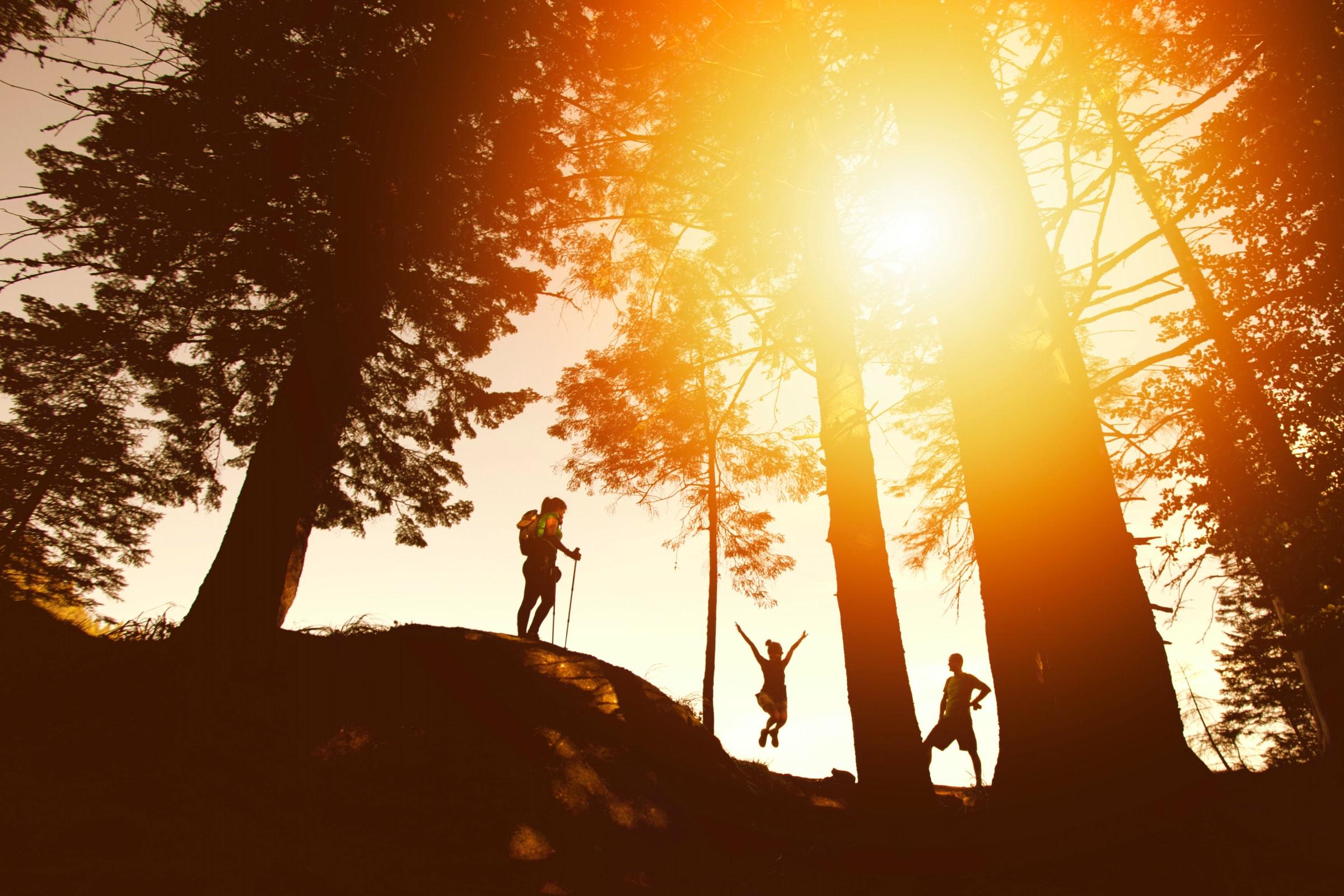 Silhouette photo of three hikers near tall trees