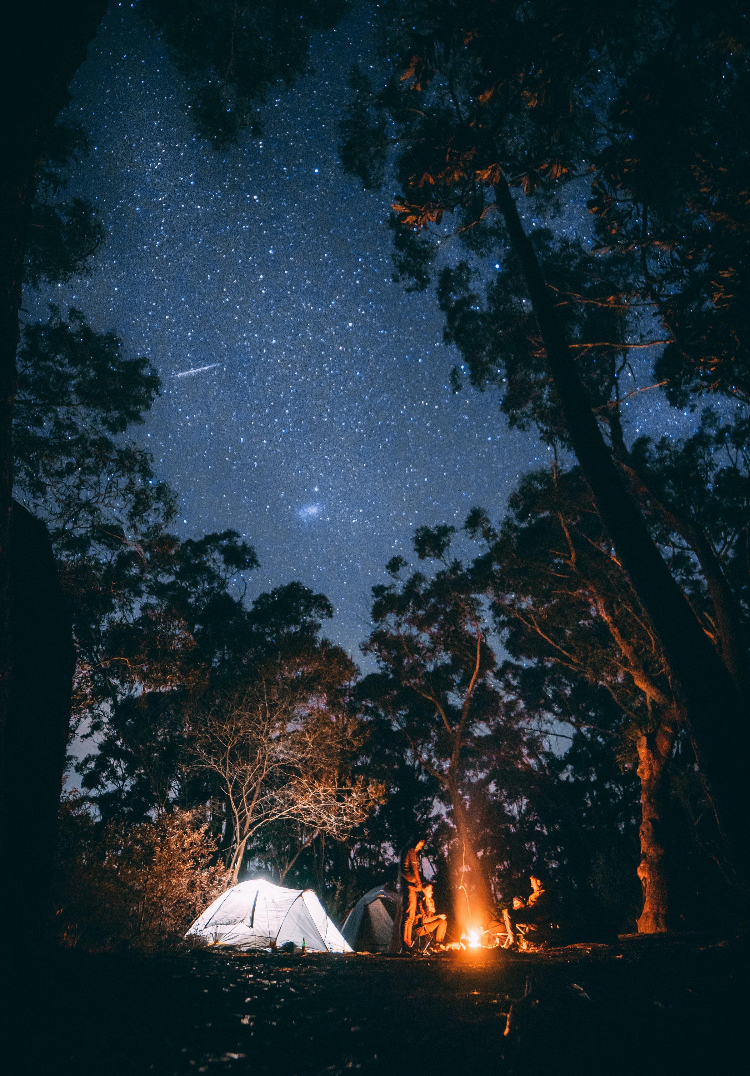 A person sitting near a bonfire surrounded by trees