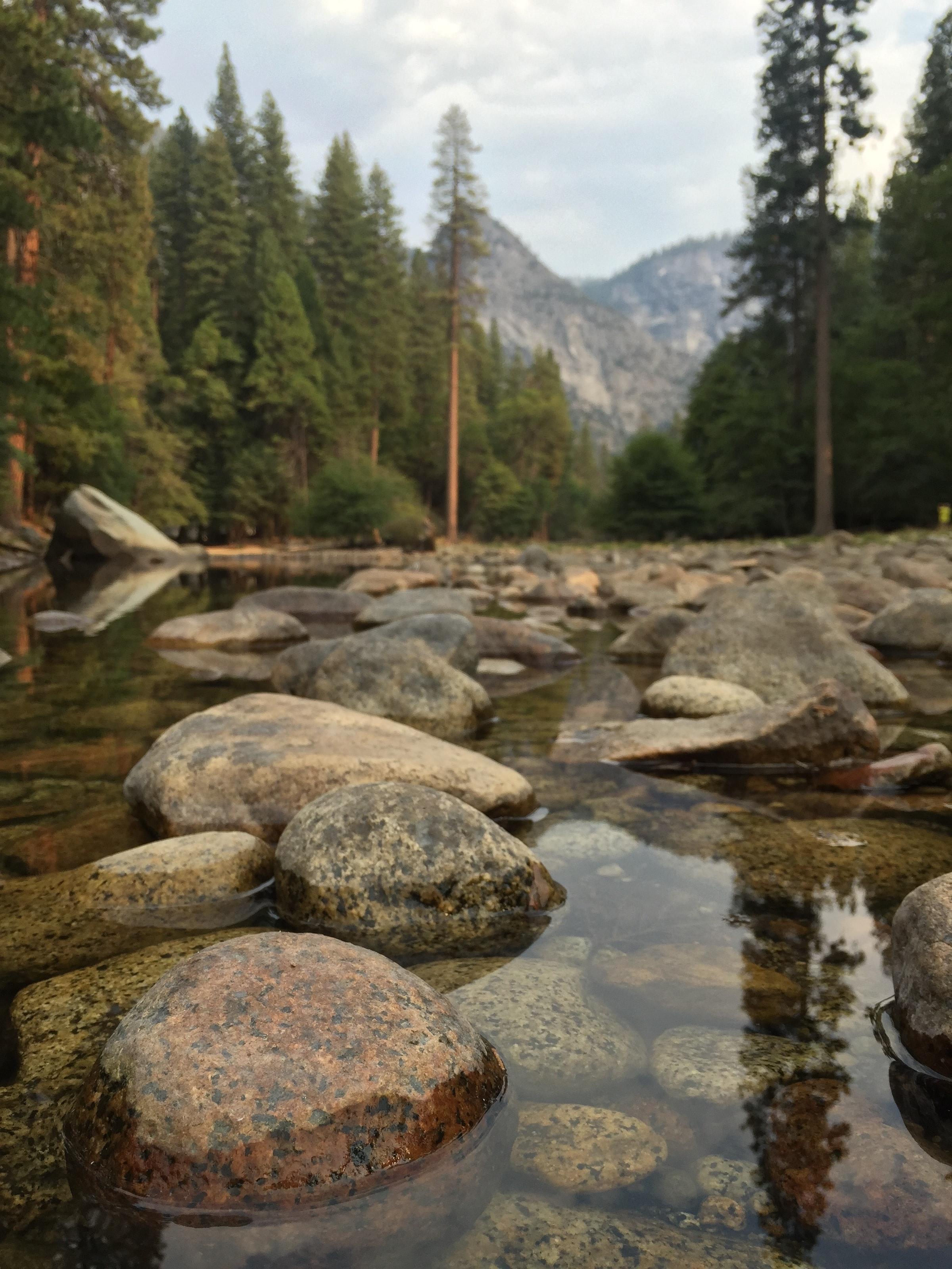 A small creek in Yosemite National Park